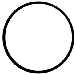 REPLACEMENT O-RING FOR RAW WATER STRAINER